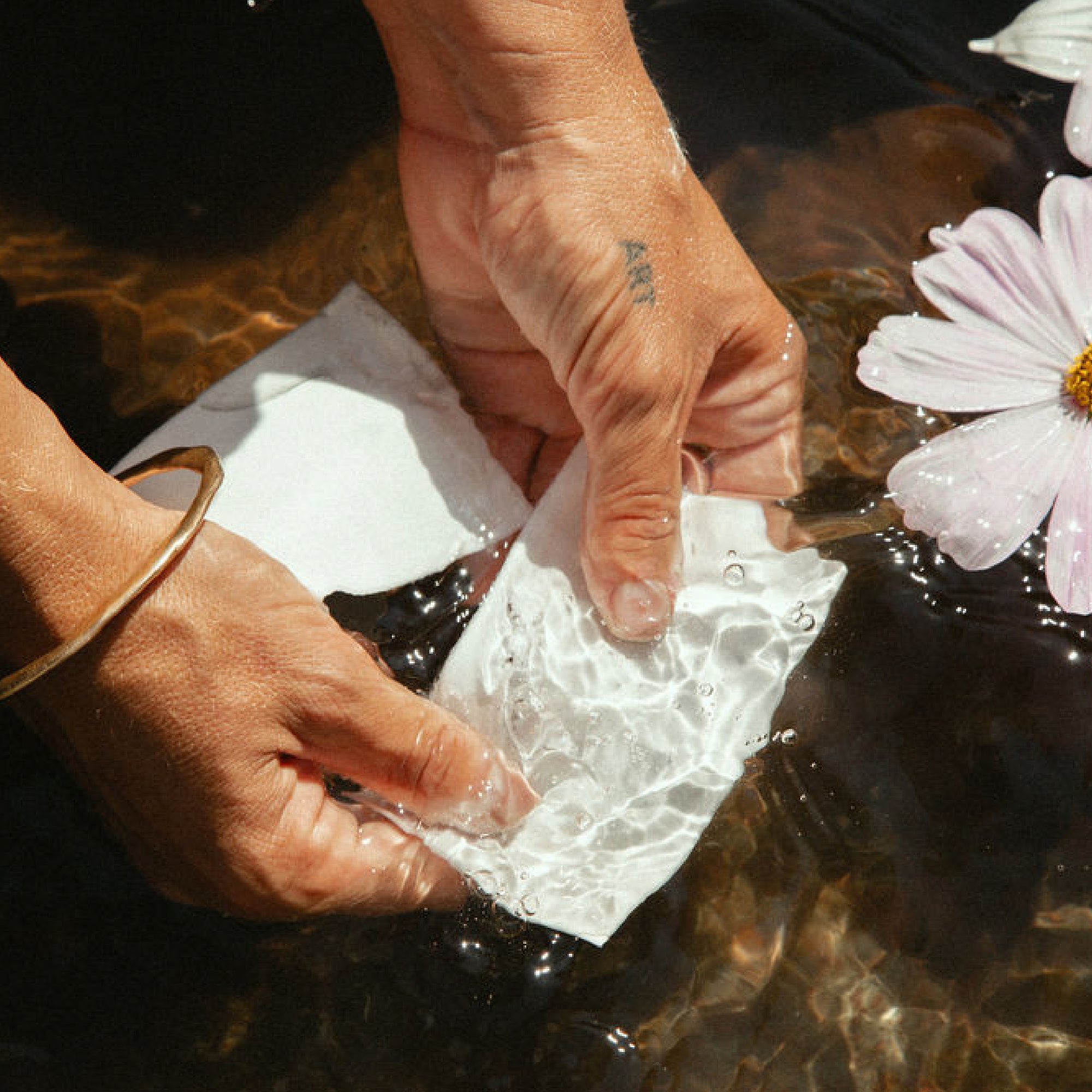 Laundry Detergent Slips