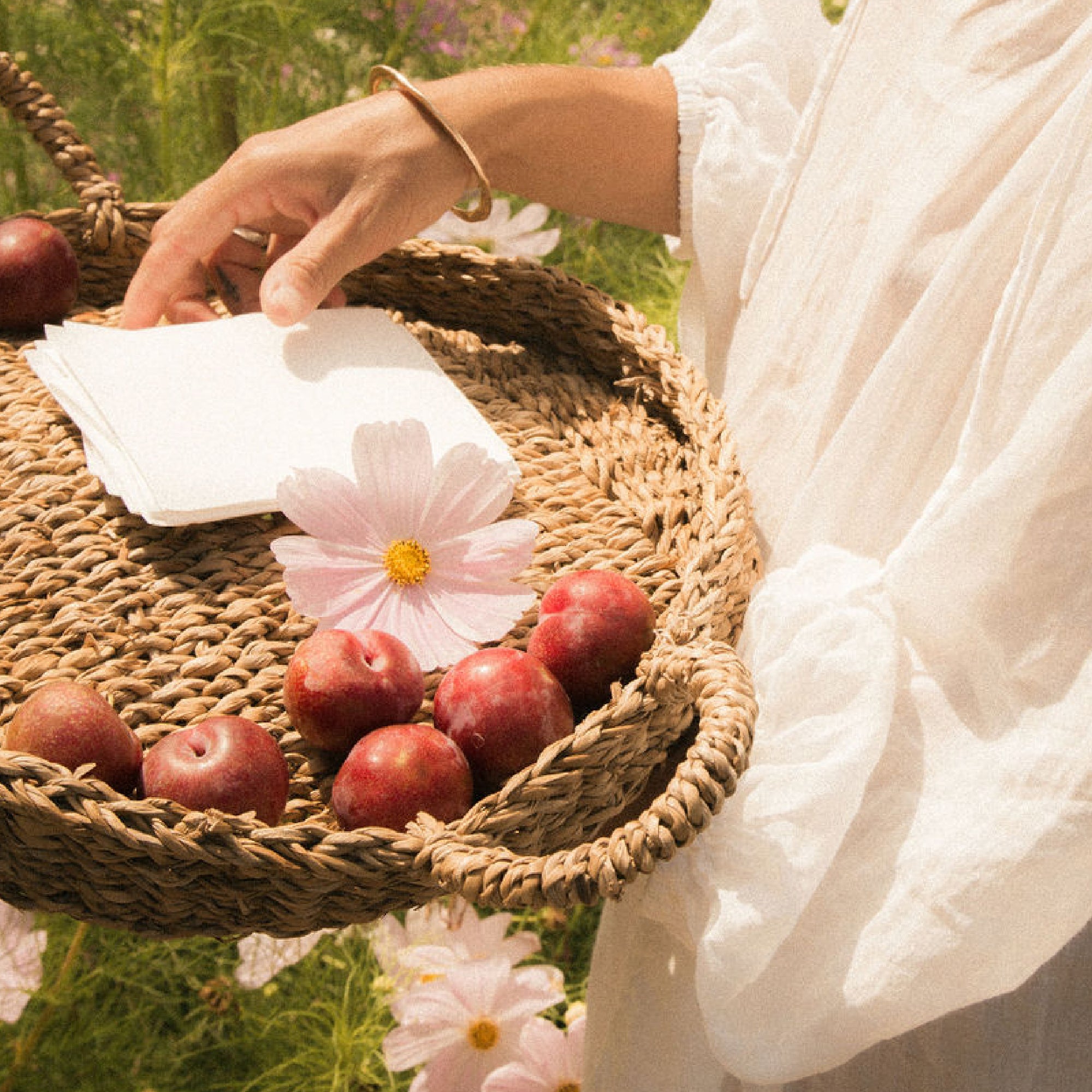 Laundry Detergent Slips